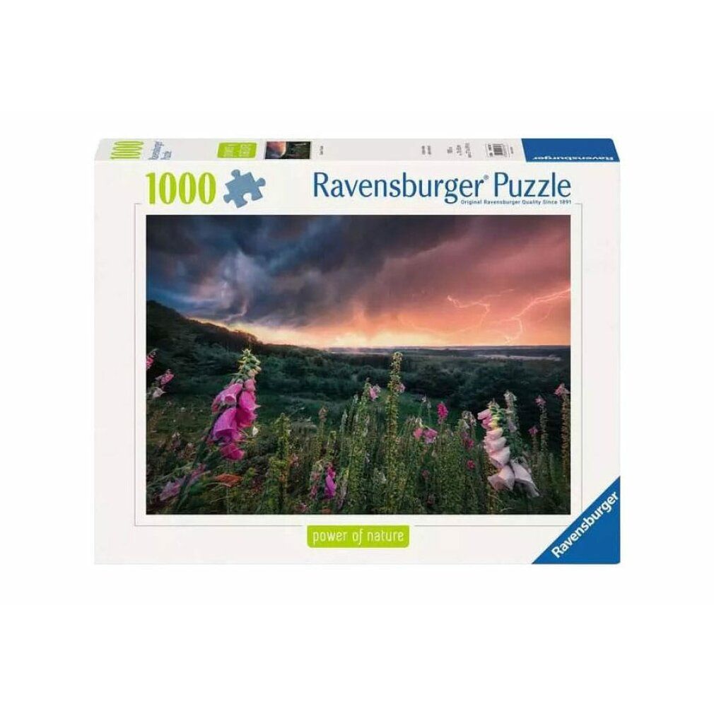 Power of Nature Puzzle a Storm Is Drawing (1000 parti)