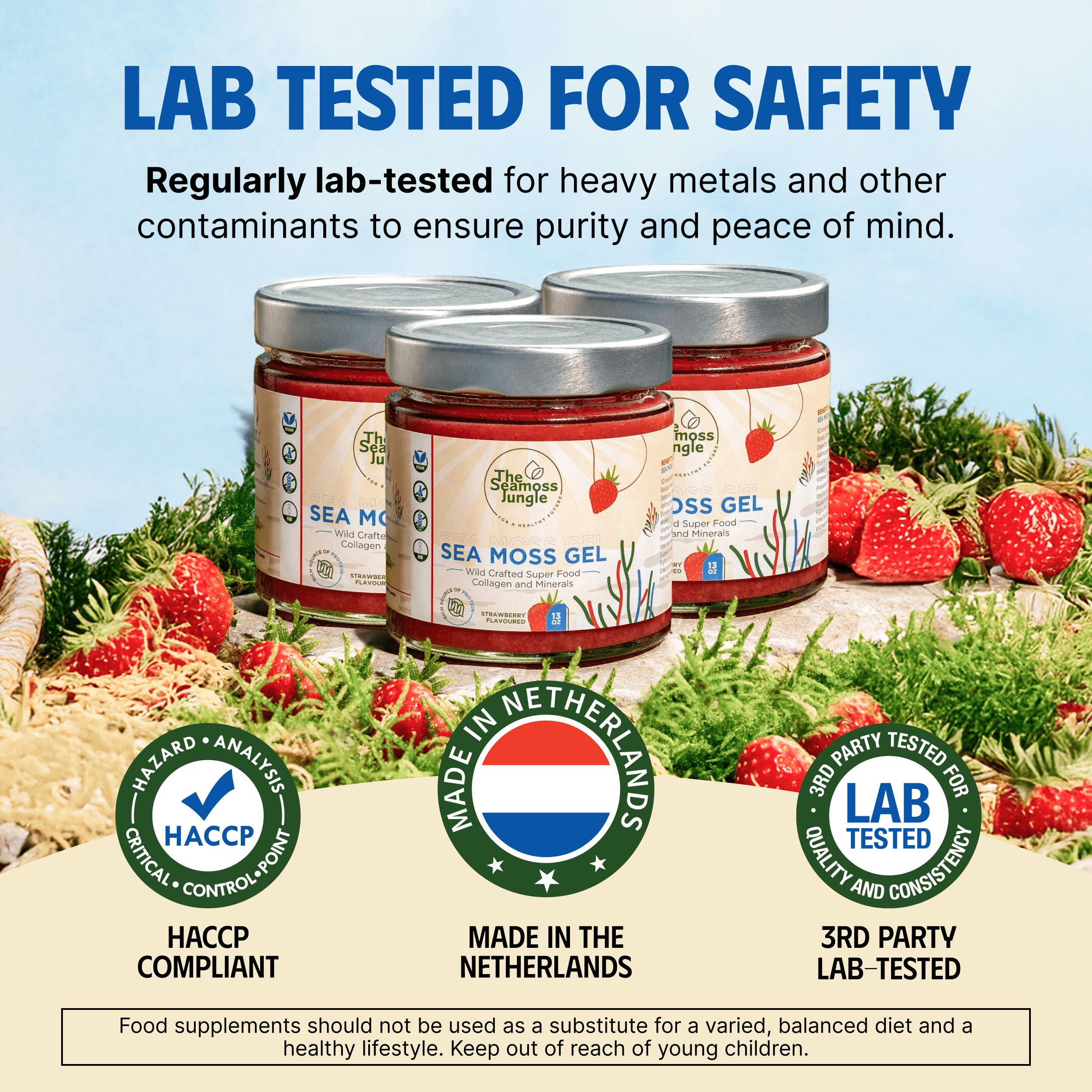 Drei Gläser Sea Moss Gel, Erdbeeren, Zertifizierungen: HACCP, Made in Netherlands, 3rd Party Lab-Tested.