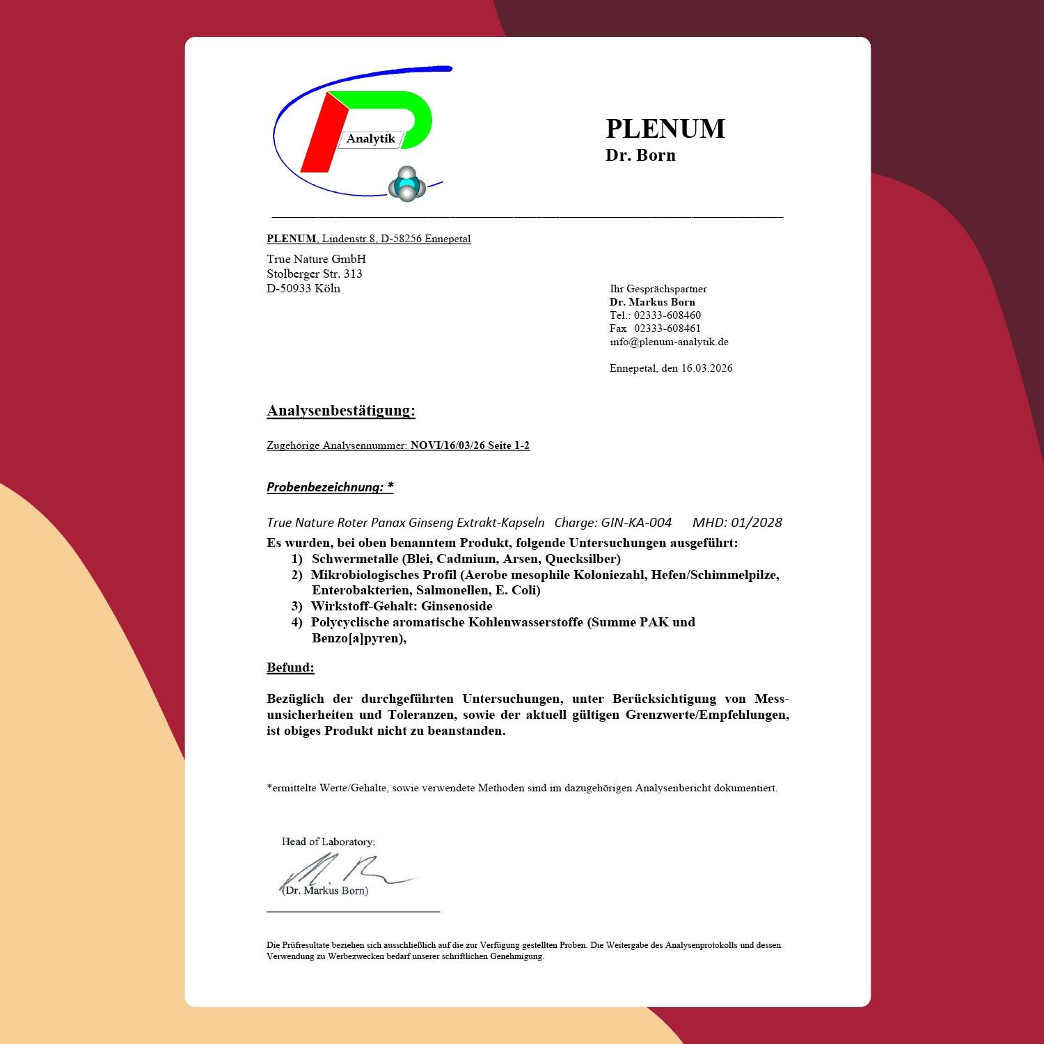 Zertifikat mit Text. Analysebestätigung für Roter Panax Ginseng Extrakt. Labor: PLENUM Dr. Born.