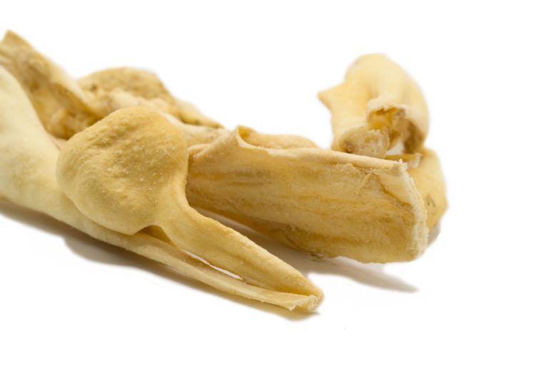 mascota vital - Lamm-Kopfhaut