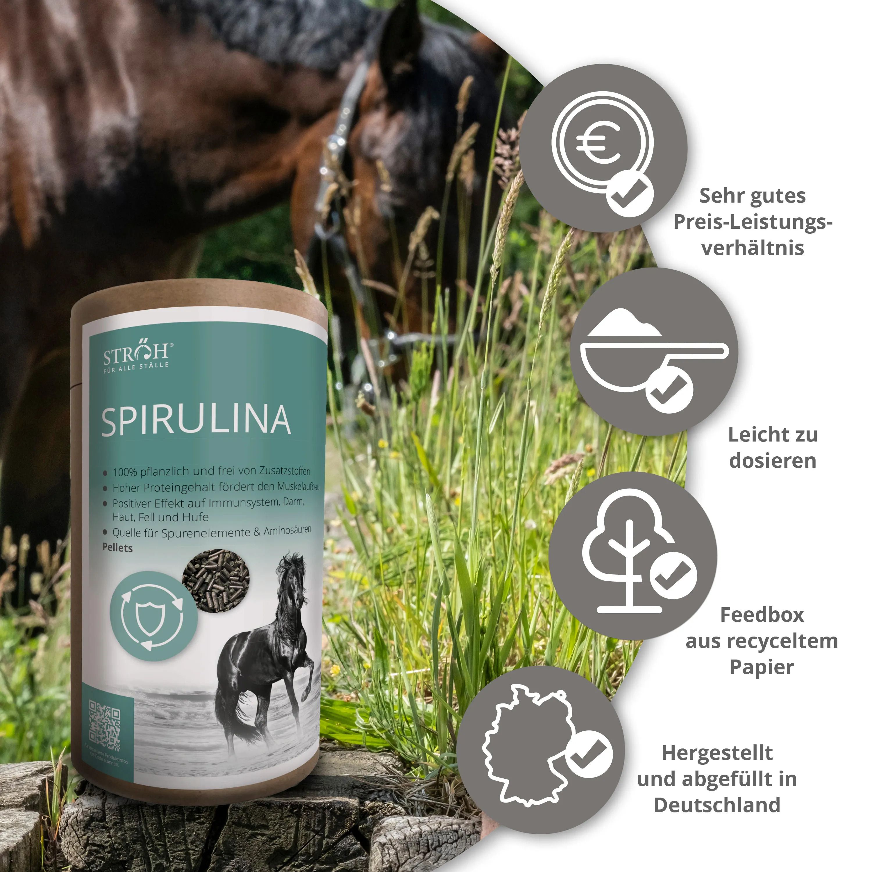 Zylindrische Dose Spirulina-Pellets, Text: STRÖH, Spirulina. Text: Feedbox aus recyceltem Papier. Hergestellt in Deutschland.