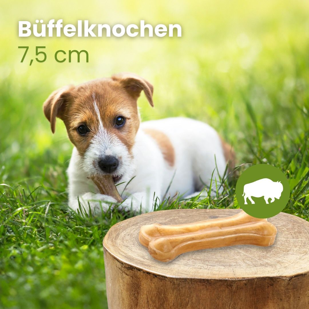 Zwei Büffelhautknochen, 7,5 cm lang, auf einem Baumstumpf liegend. Ein Hundewelpe kaut im Hintergrund auf einem Knochen.