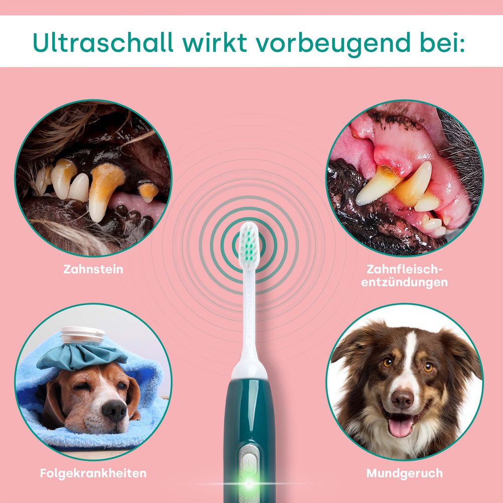 Ultraschall-Zahnbürste und Bilder von Hunden mit Zahnproblemen. Text: Ultraschall wirkt vorbeugend bei: Zahnstein, Entzündungen, Mundgeruch.