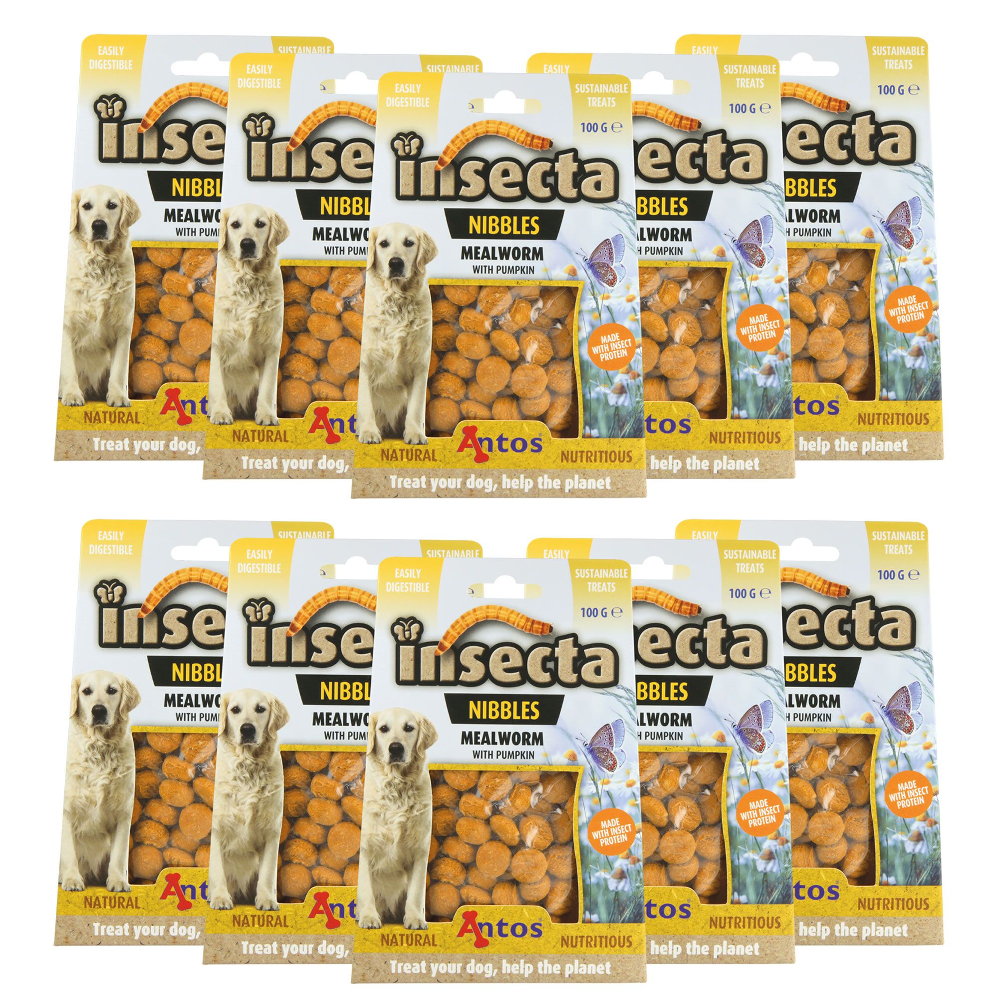 Insecta Nibbles Mealworm (Mehlwurm und Kürbis) Hundekekse - hochwertiges Protein