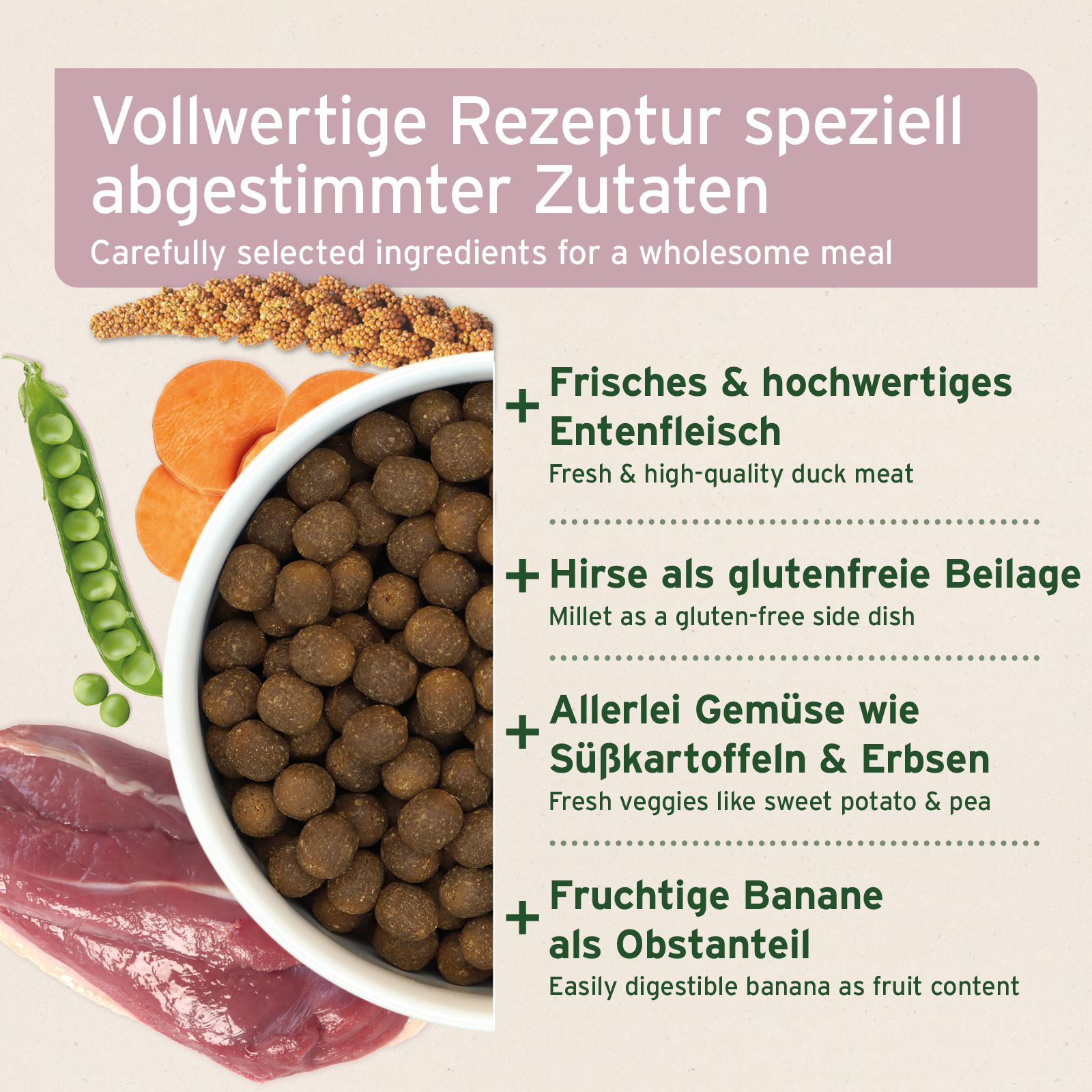 Zutaten für eine vollwertige Mahlzeit. Ente, Hirse, Süßkartoffeln, Erbsen und Banane. Text: Frisches Entenfleisch, glutenfreie Hirse, Gemüse, Banane.