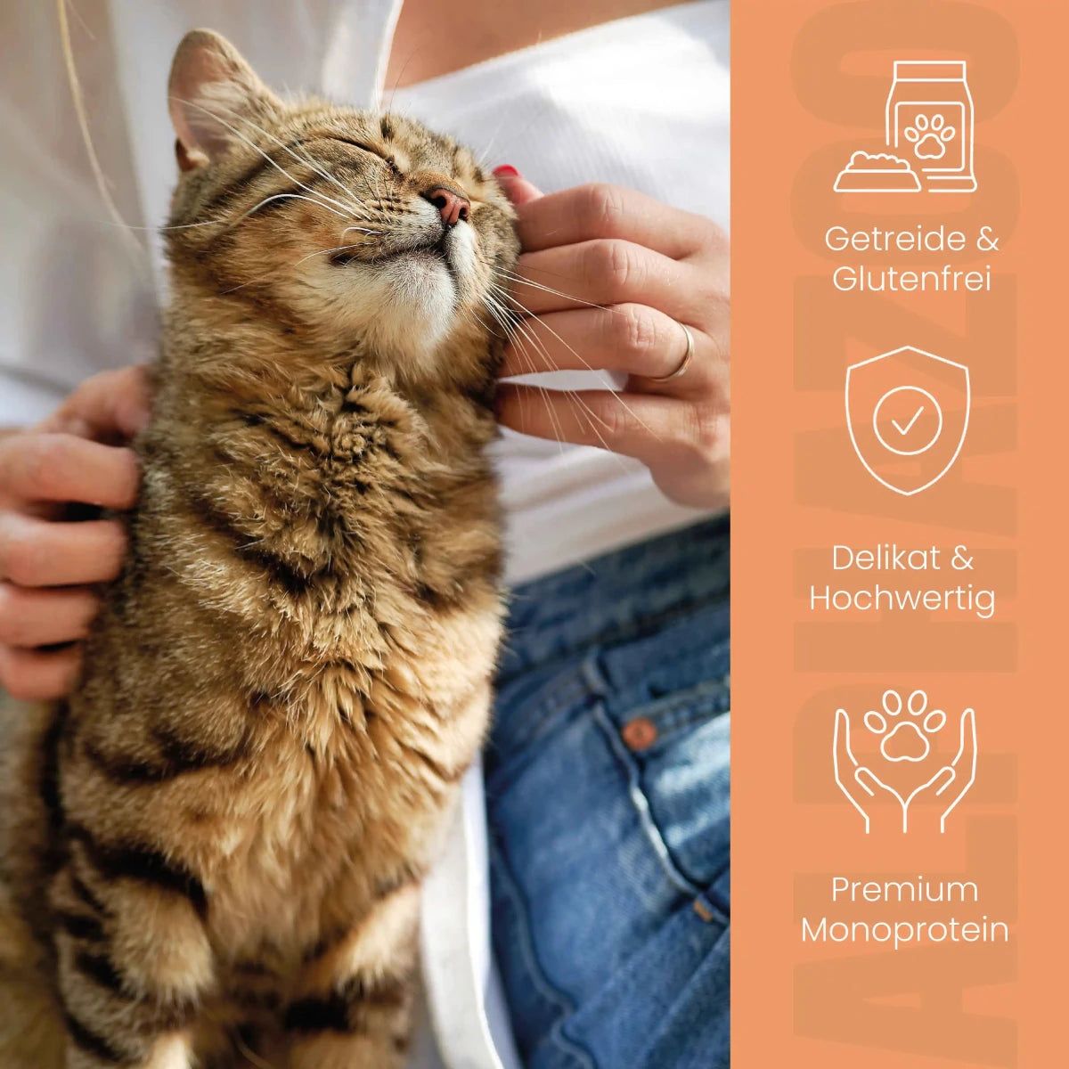 alphazoo Probierschmaus für Katzen – Nassfutter Probierpaket