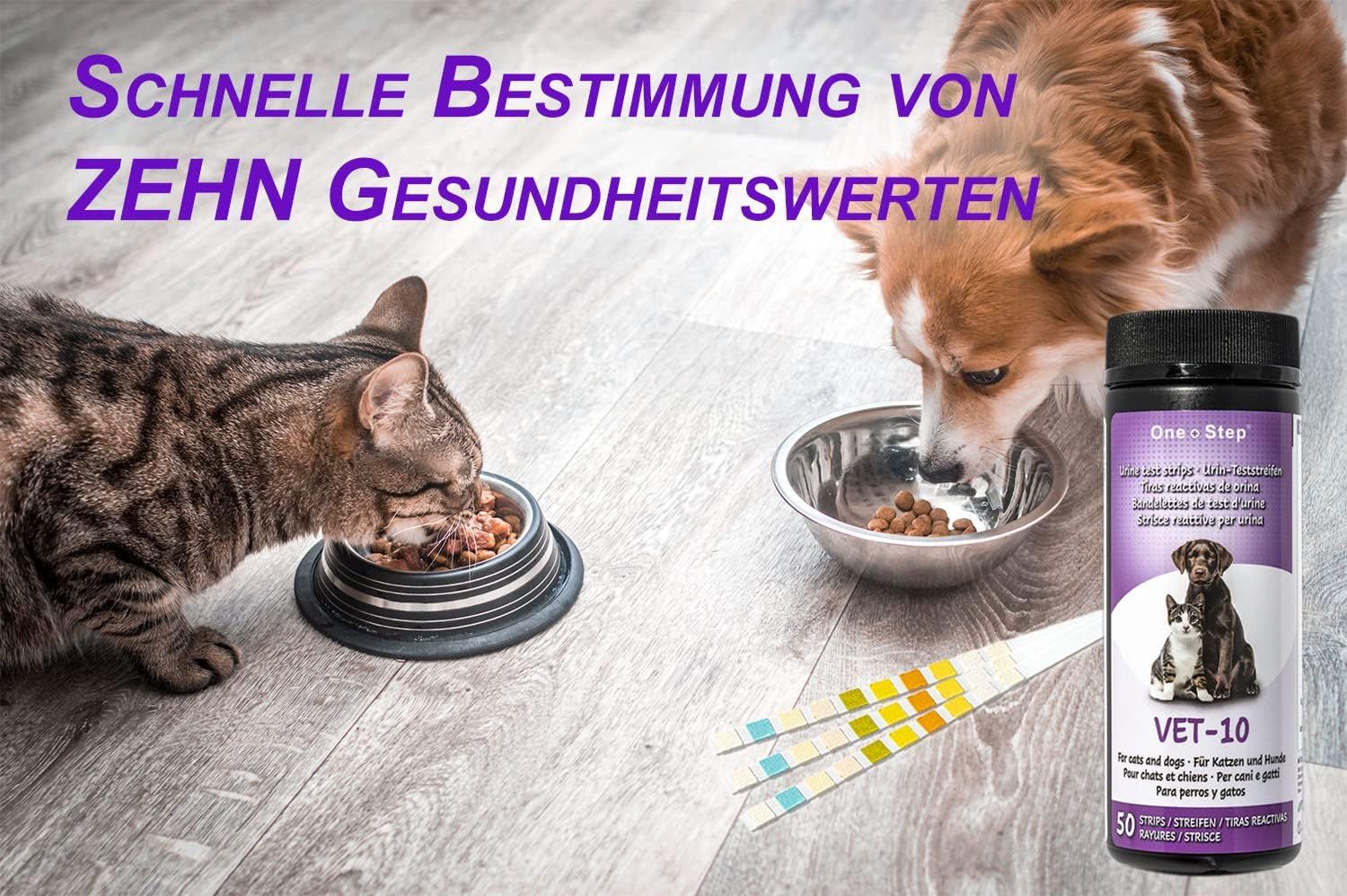 One+Step Urin Teststreifen für Hunde und Katzen - Schnelltest zur Prüfung von 10 Gesundheitswerten 50 St