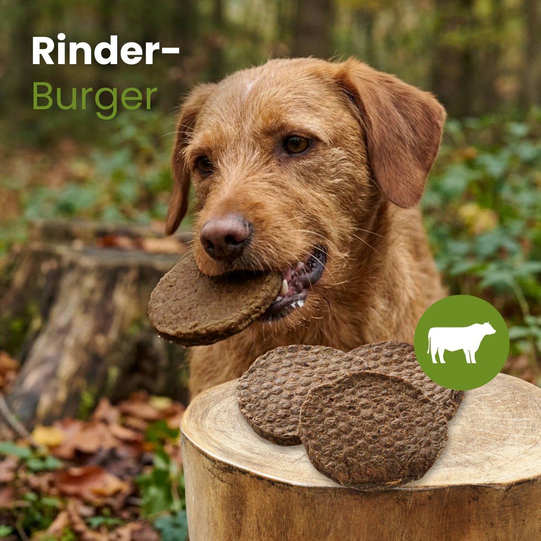 Drei runde Hundesnacks aus Rindfleisch, mit Textur und Informationen zu Länge, Gewicht und Beschaffenheit.