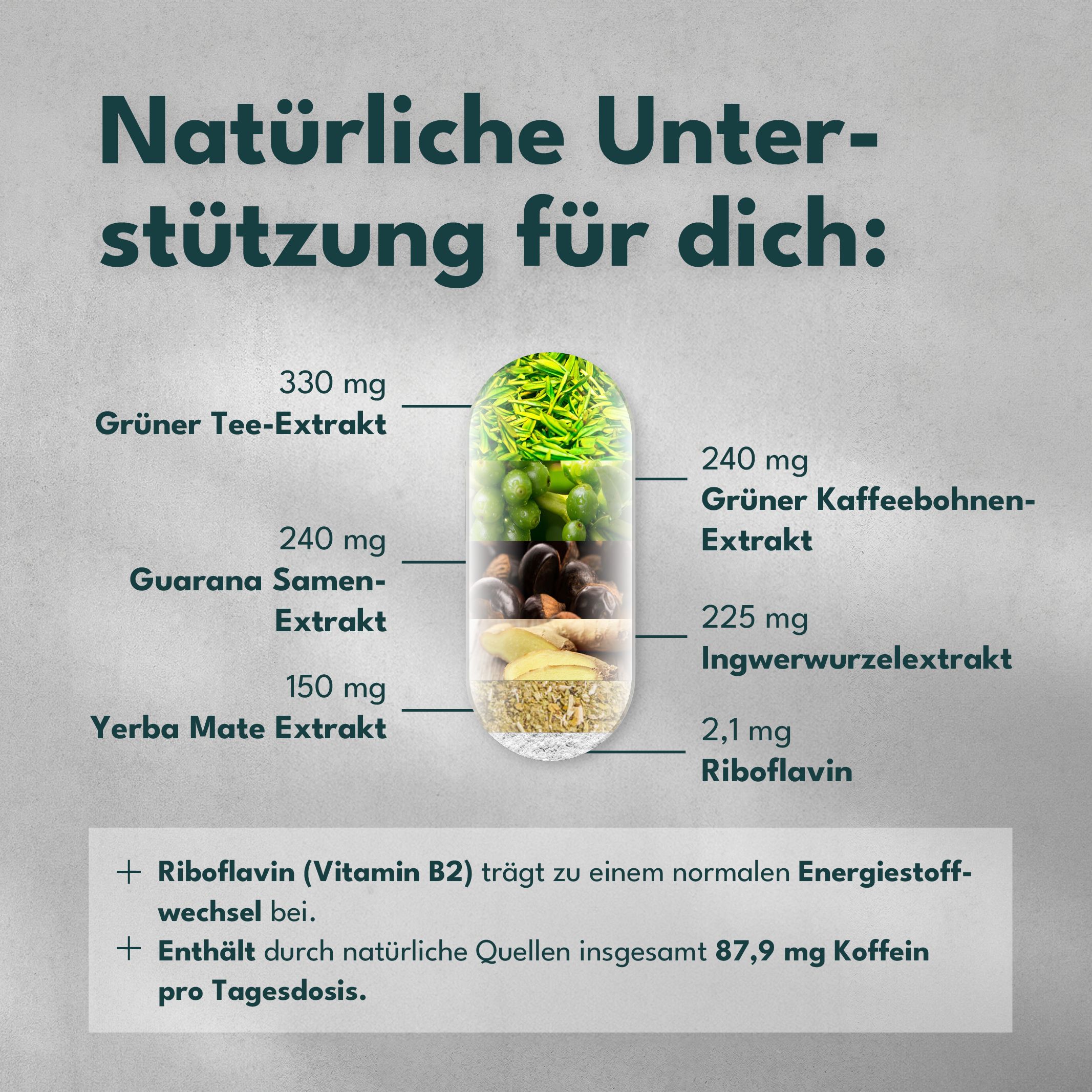 Abbildung einer Kapsel mit Inhaltsstoffen: Grüner Tee, Grüner Kaffeebohnen-Extrakt, Guarana, Ingwerwurzelextrakt, Yerba Mate, Riboflavin.
