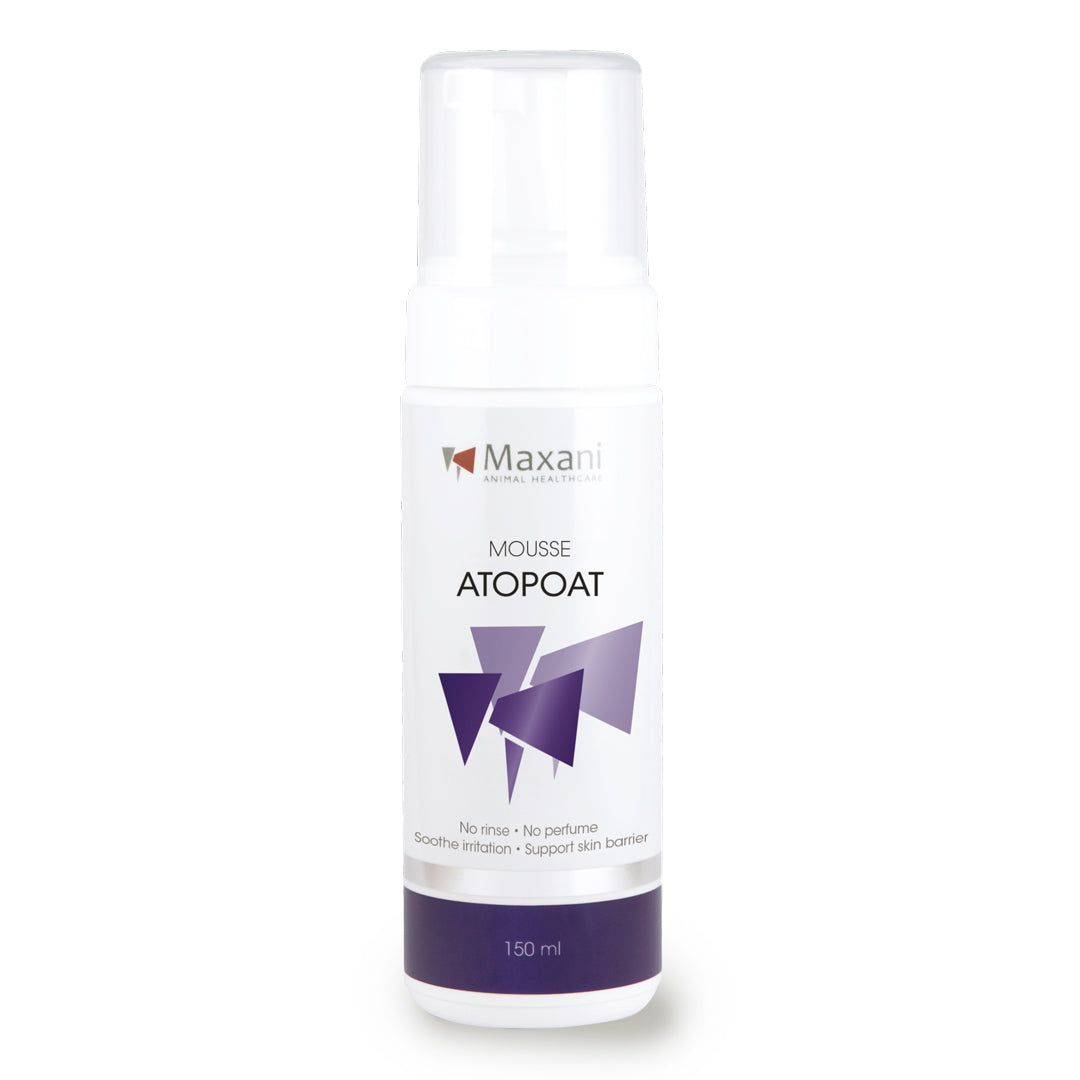 Weiße Flasche mit Sprühkopf. Aufschrift: Maxani, Mousse AtopOat. Lila Designelemente. Text: No rinse - No perfume. 150 ml.