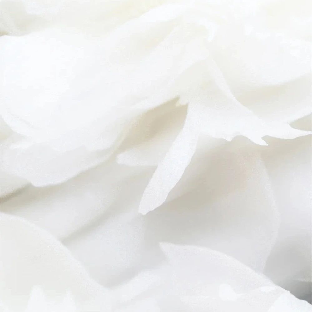 Zero Skin Shampoo für empfindliche Kopfhaut, beruhigend und sanft reinigend