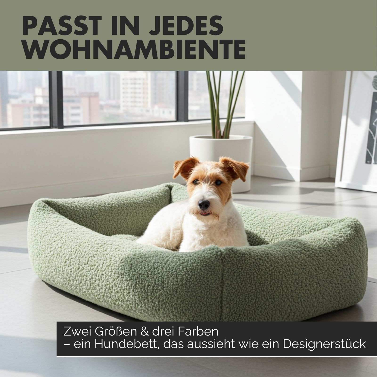 Hund sitzt in einem grünen Hundebett. Das Bett hat eine rechteckige Form und erhöhte Seiten. Text: Zwei Größen & drei Farben.