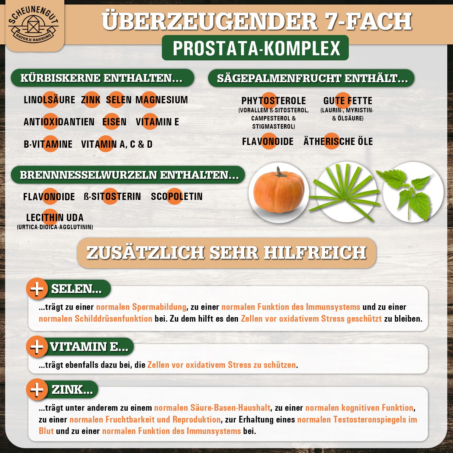 Infografik mit Inhaltsstoffen: Kürbis, Sägepalme, Brennnessel. Zusätzliche Inhaltsstoffe: Selen, Vitamin E, Zink.
