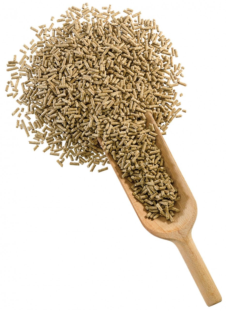 Haufen von Derby Pferdefutter Youngstar Pellets mit Holzschaufel. Helle, zylindrische Pellets.