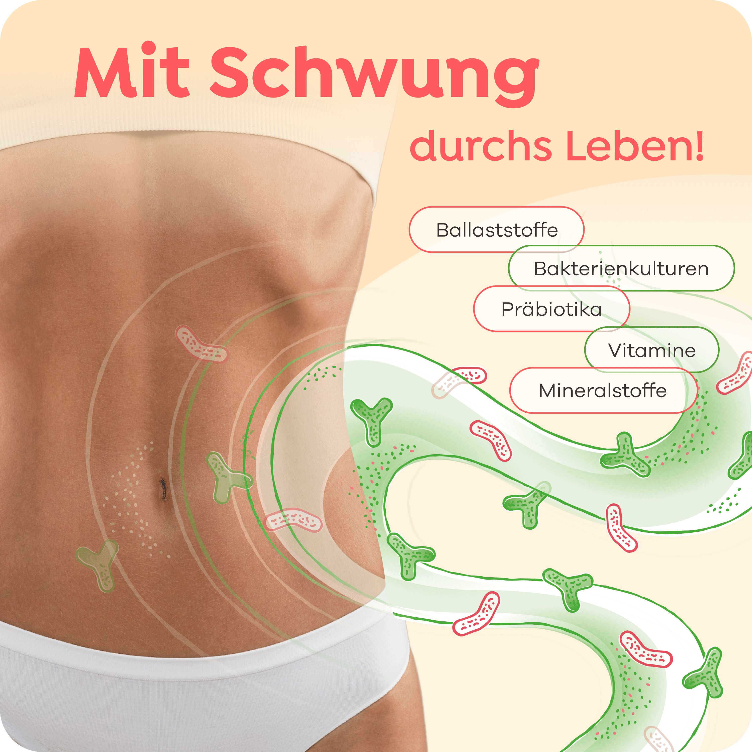 Bauch einer Person mit Illustrationen von Bakterien und Ballaststoffen. Text: Ballaststoffe, Bakterienkulturen, Präbiotika, Vitamine, Mineralstoffe.
