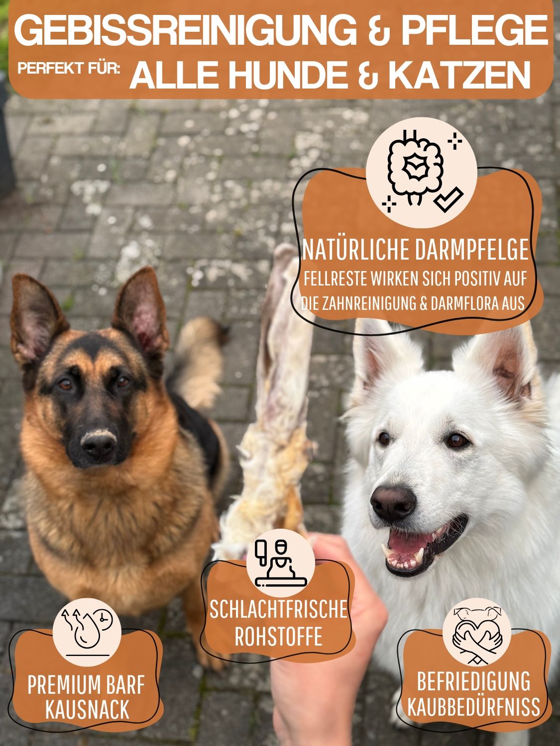 WEPO Kaninchenohren mit Fell - Getrocknete Hasenohren - Hundeleckerli