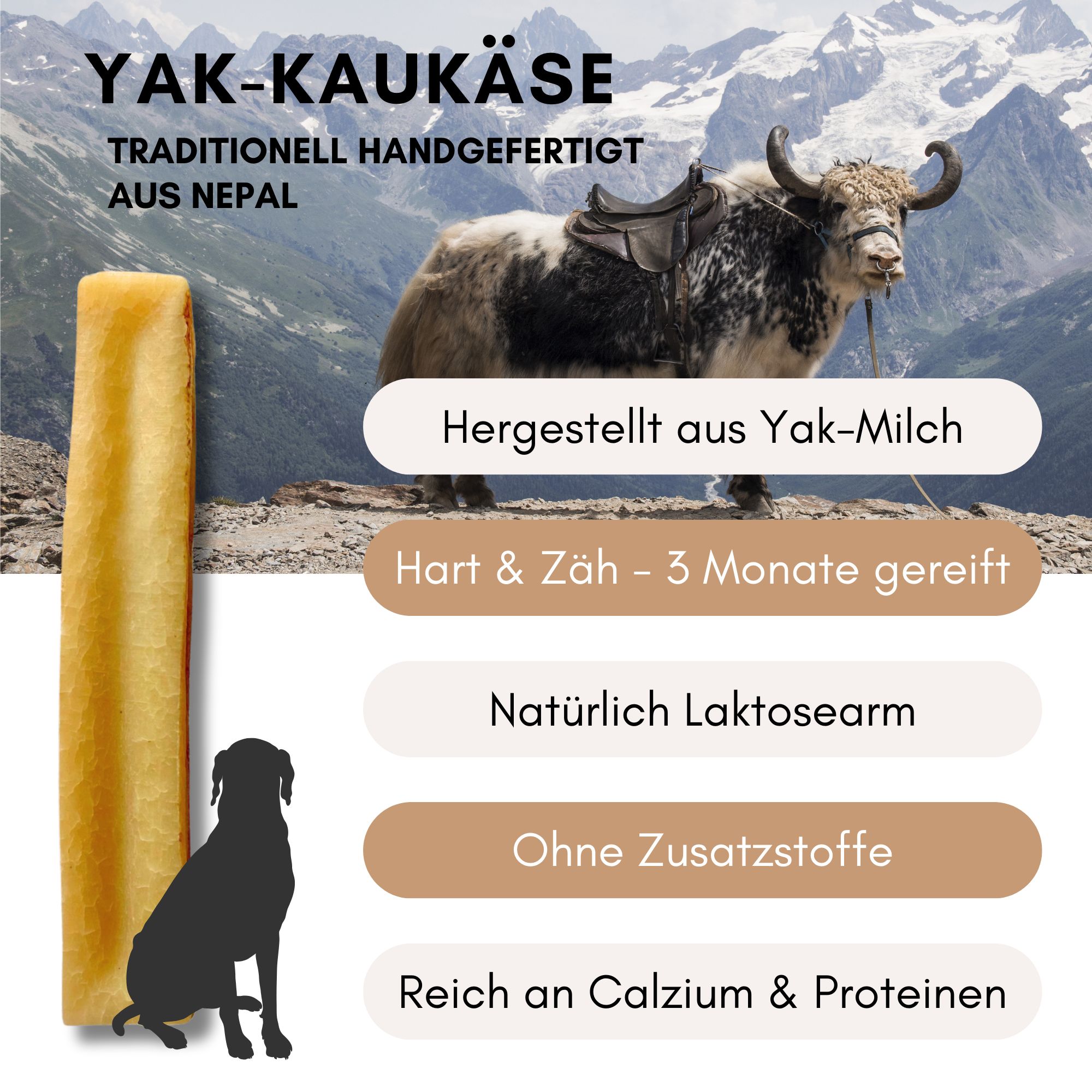 Hundekausnack, rechteckig, hellbraun. Text: Hergestellt aus Yak-Milch, Hart & Zäh, natürlich laktosearm, ohne Zusatzstoffe, reich an Calcium & Proteinen.