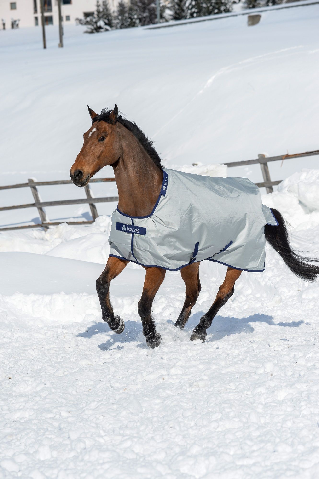 Pferdedecke, grau, mit blauem Rand. Logo Bucas. Pferd im Schnee.