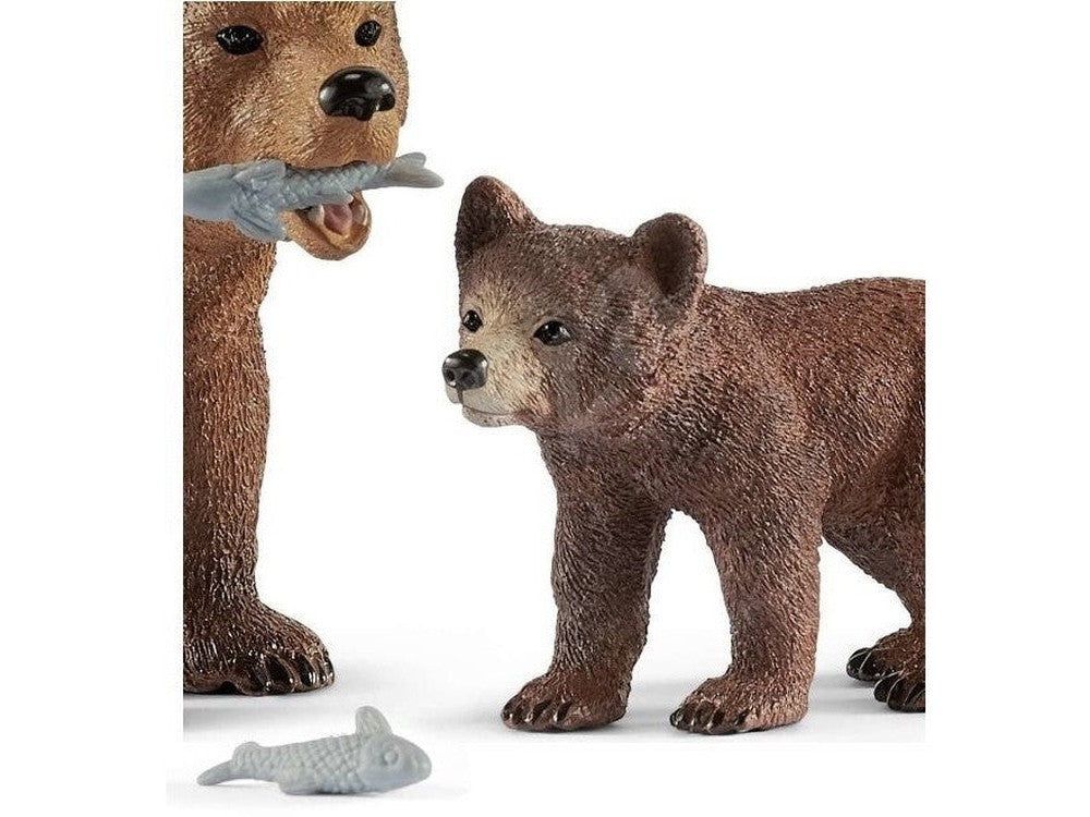 Grizzlybär-Mutter und Junges. Braun. Mutterbär hält Fisch im Maul. Junges blickt nach rechts.