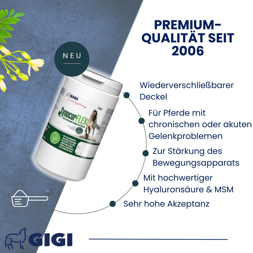 Produkt-Behälter mit Text: SynocurFlex. Text: Premium-Qualität seit 2006. Aufzählungspunkte: Gelenkprobleme, Bewegungsapparat, Hyaluronsäure.