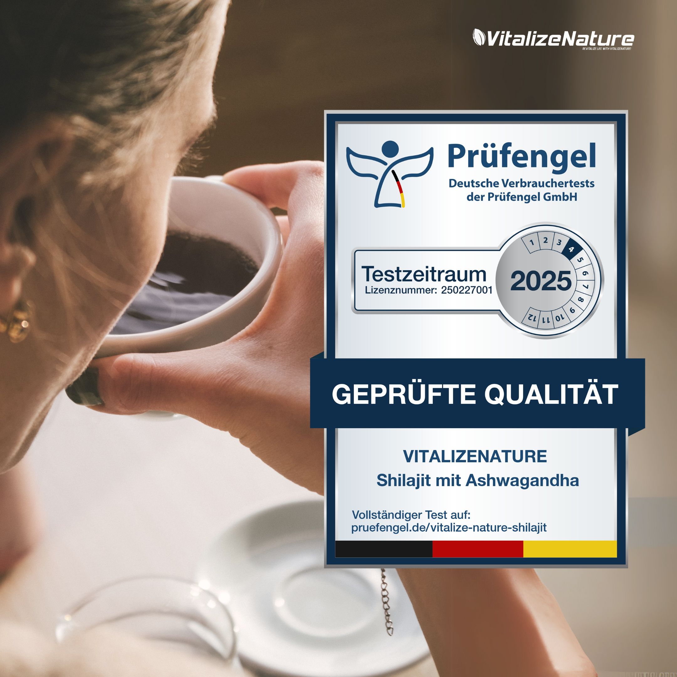 VitalizeNature Shilajit mit Ashwagandha