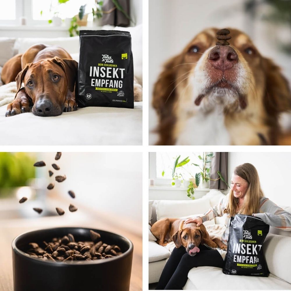Tales & Tails Dein exklusiver InSektempfang - Softes Trockenfutter mit Insekt