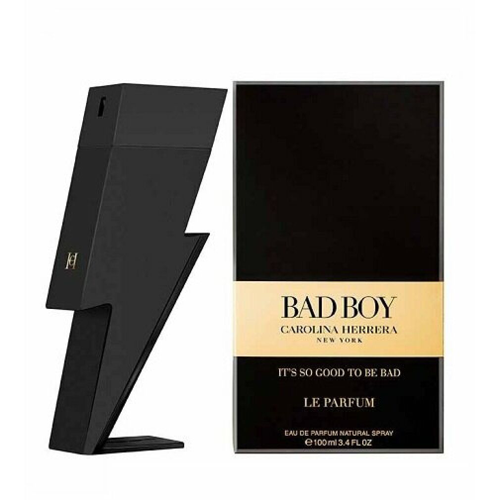 BAD BOY Eau de Parfum Spray 100 ml