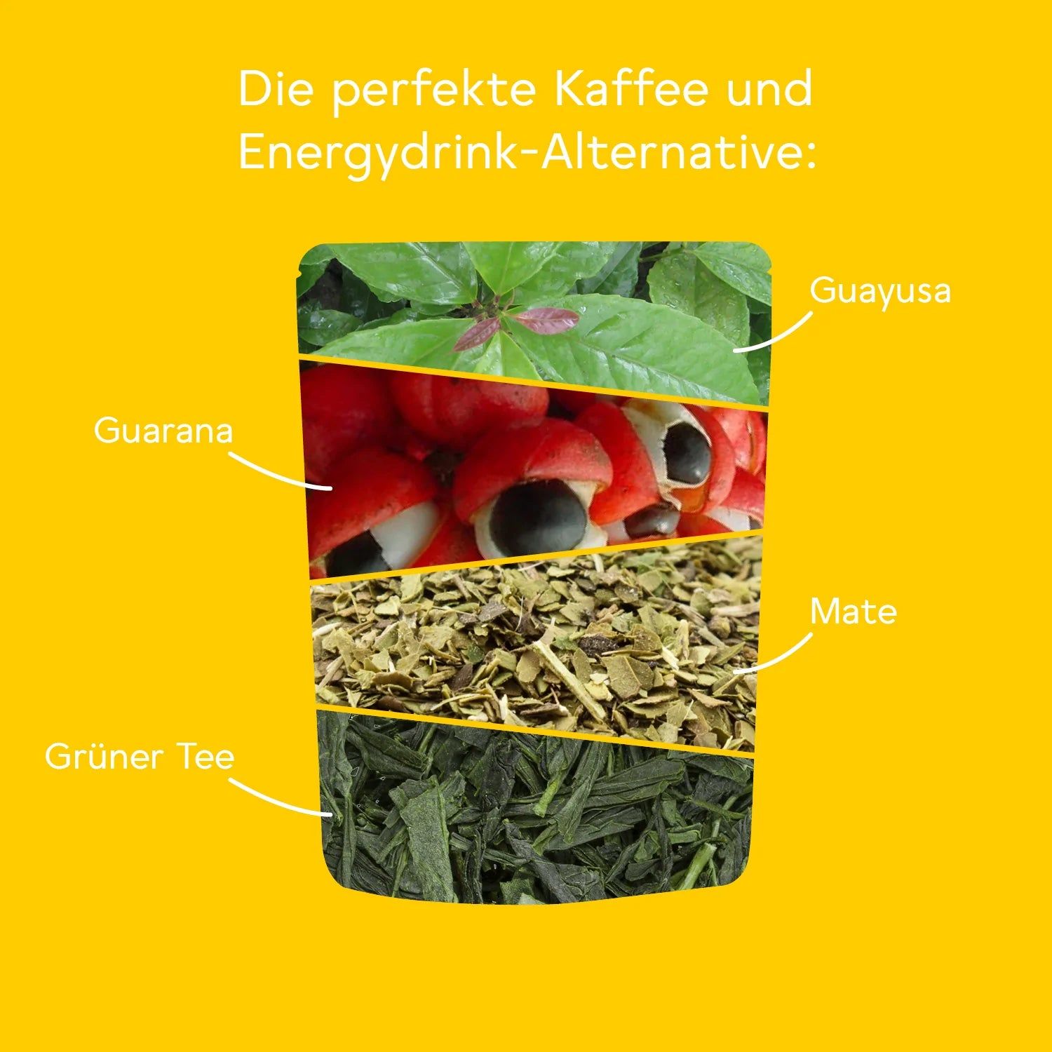 BitterLiebe Teemanufaktur - Energy Tee