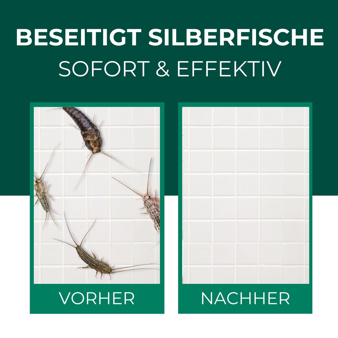 Vorher-Nachher-Vergleich. Links: Silberfische auf Fliesen. Rechts: Saubere Fliesen. Text: Beseitigt Silberfische sofort & effektiv.