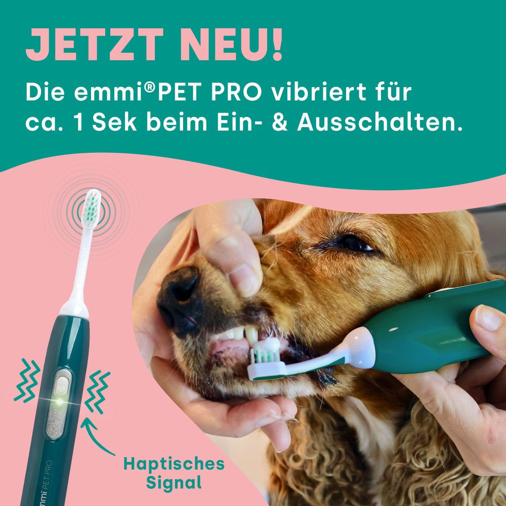 Ultraschall-Zahnbürste wird in einem Hundemaul verwendet. Haptisches Signal. Text: Die emmi-pet PRO vibriert beim Ein- und Ausschalten.