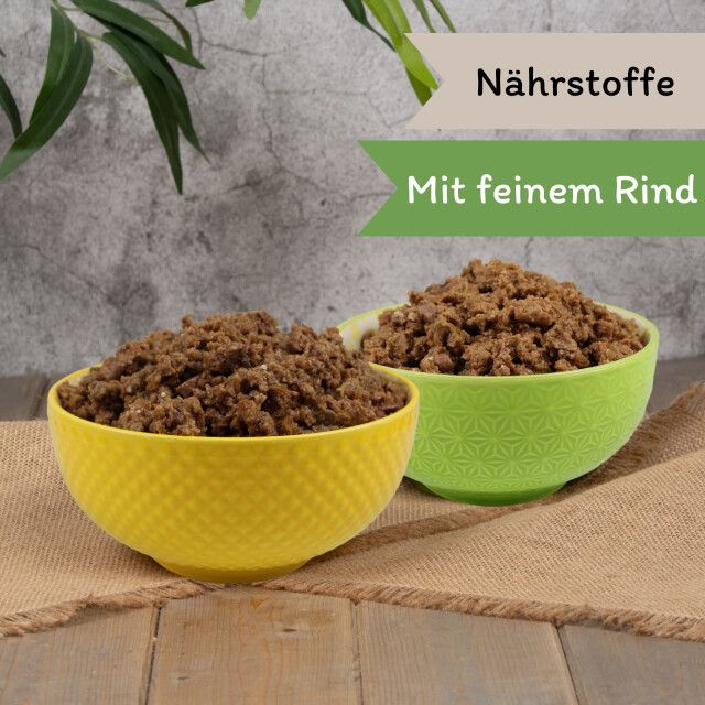 Zwei Schalen mit Katzenfutter. Text: Nährstoffe, Mit feinem Rind. Gelbe und grüne Schalen auf braunem Stoff.