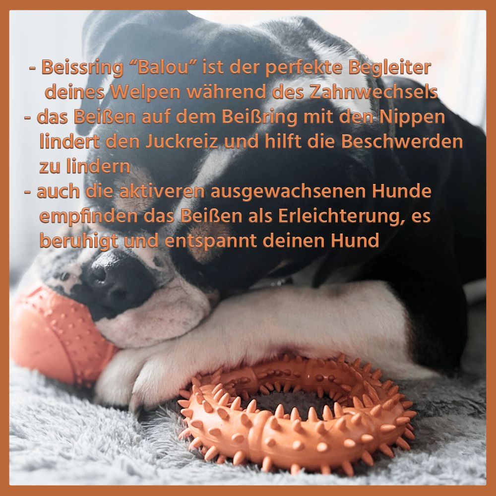 Hund liegt neben Beißring "Balou". Orangefarbener Ring mit Noppen. Text über die Vorteile des Beißrings.