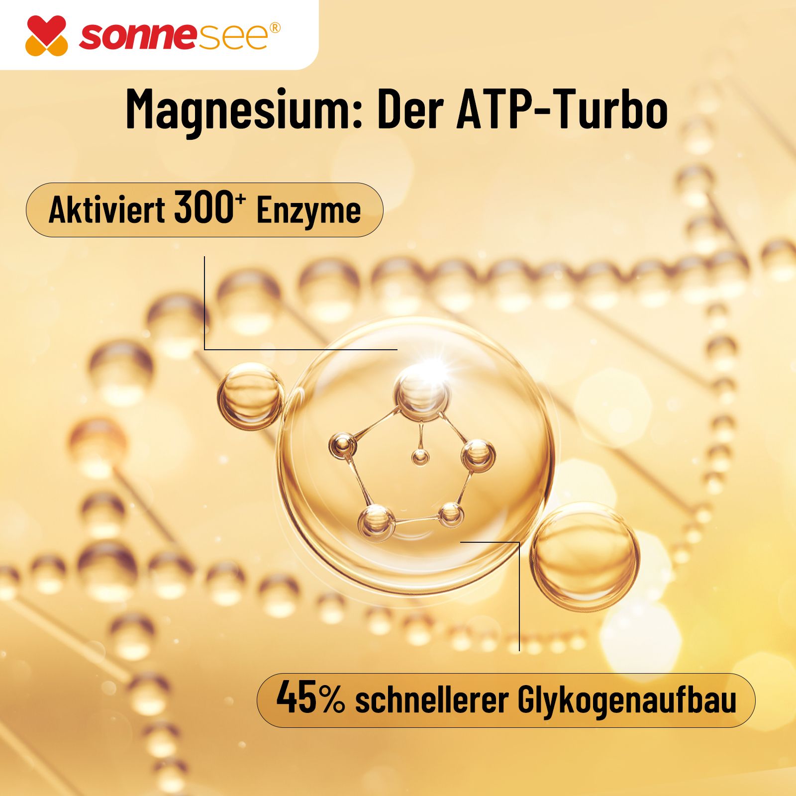 SonneSee Magnesium: ATP-Turbo. Aktiviert 300+ Enzyme, 45% schnellerer Glykogenaufbau. Molekulare Darstellung.