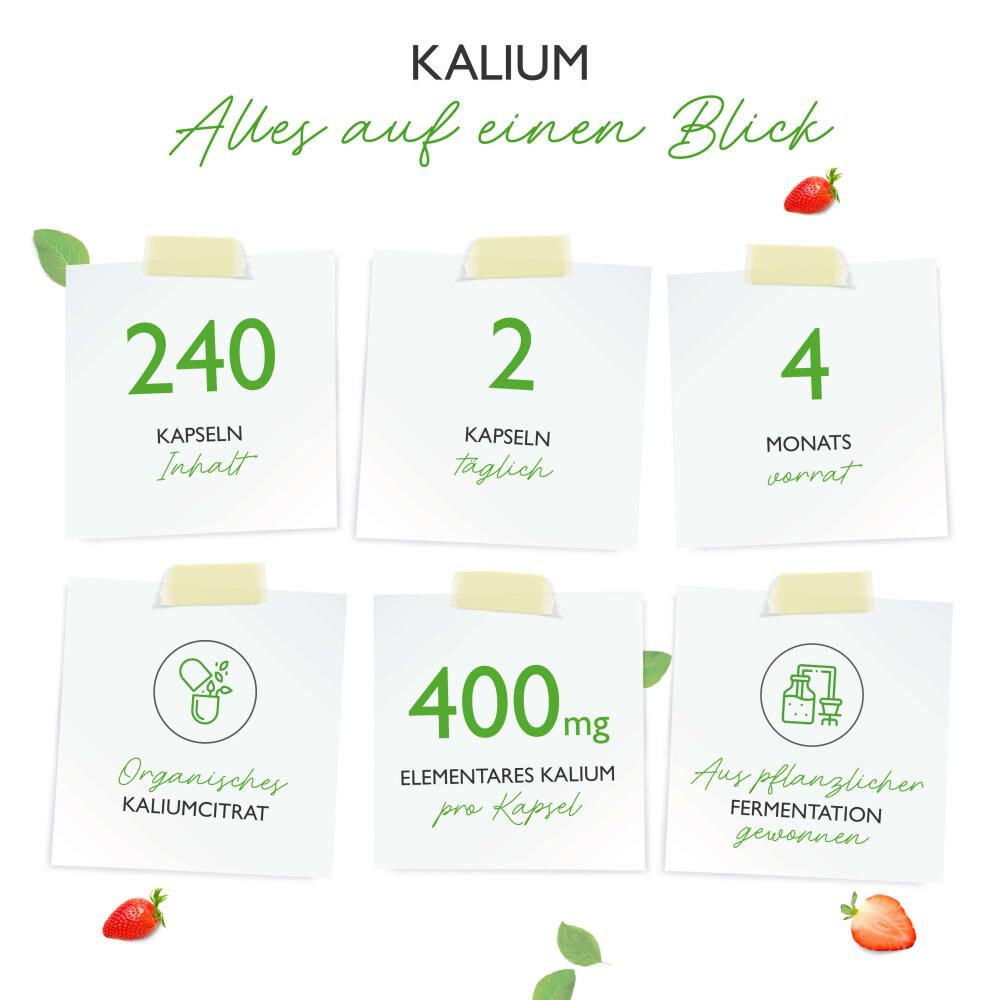 vit4ever Kalium