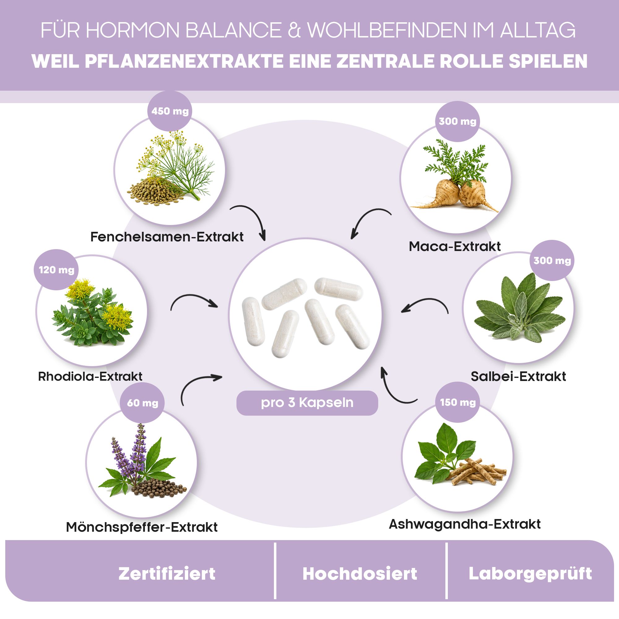 Infografik mit Kapseln und Pflanzenextrakten: Fenchel, Rhodiola, Mönchspfeffer, Maca, Salbei, Ashwagandha.