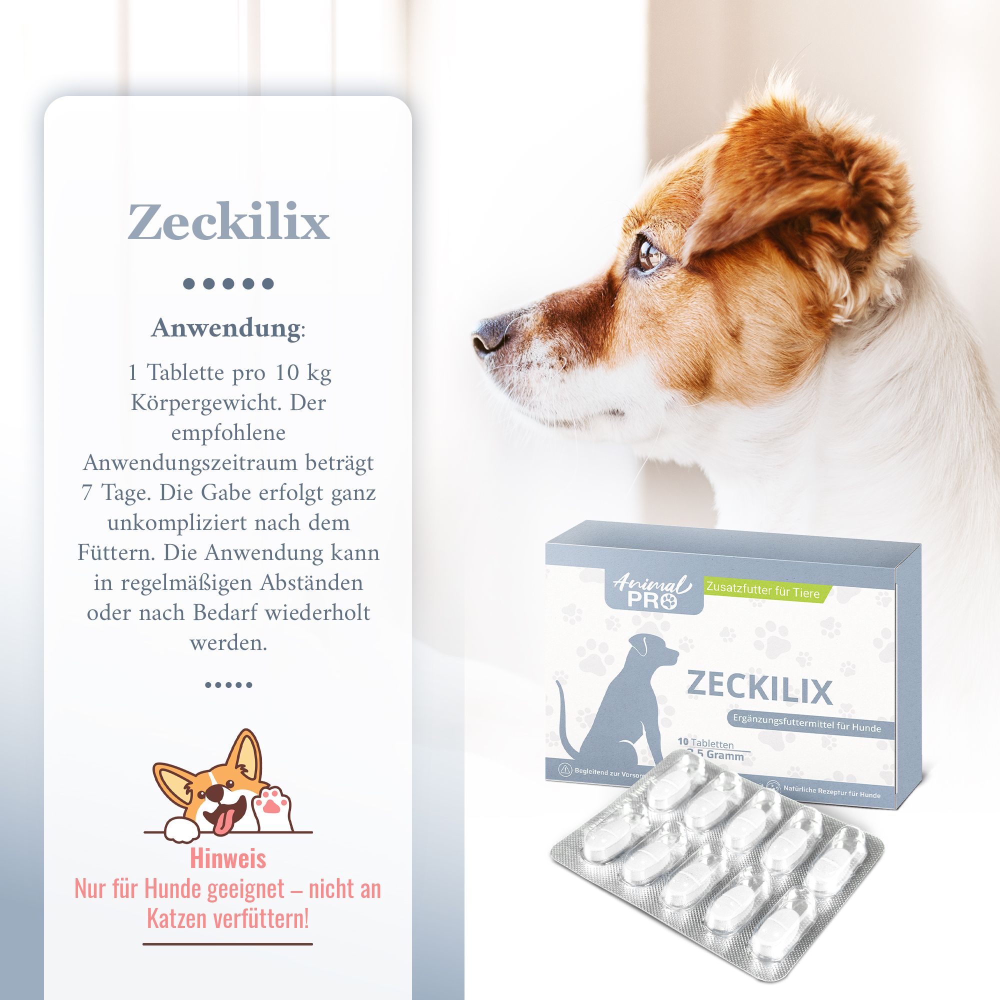 Schachtel und Blisterpackung mit Tabletten. Aufdruck: Zeckilix, Animal Pro. Hund im Hintergrund. Text: Anwendung, Hinweis.
