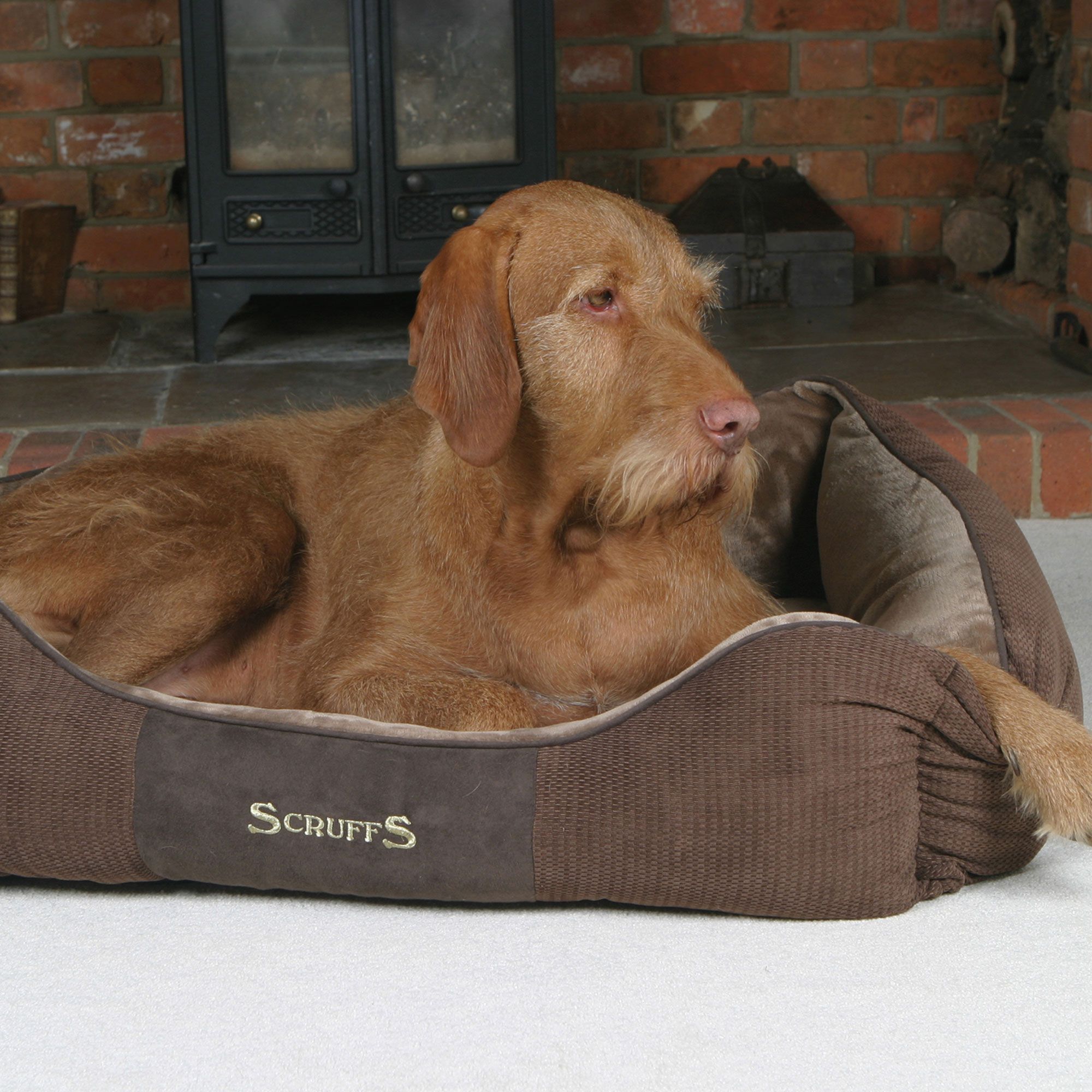 SCRUFFS® Chester Box Bett - hochwertig - waschbar- Plüschstoff