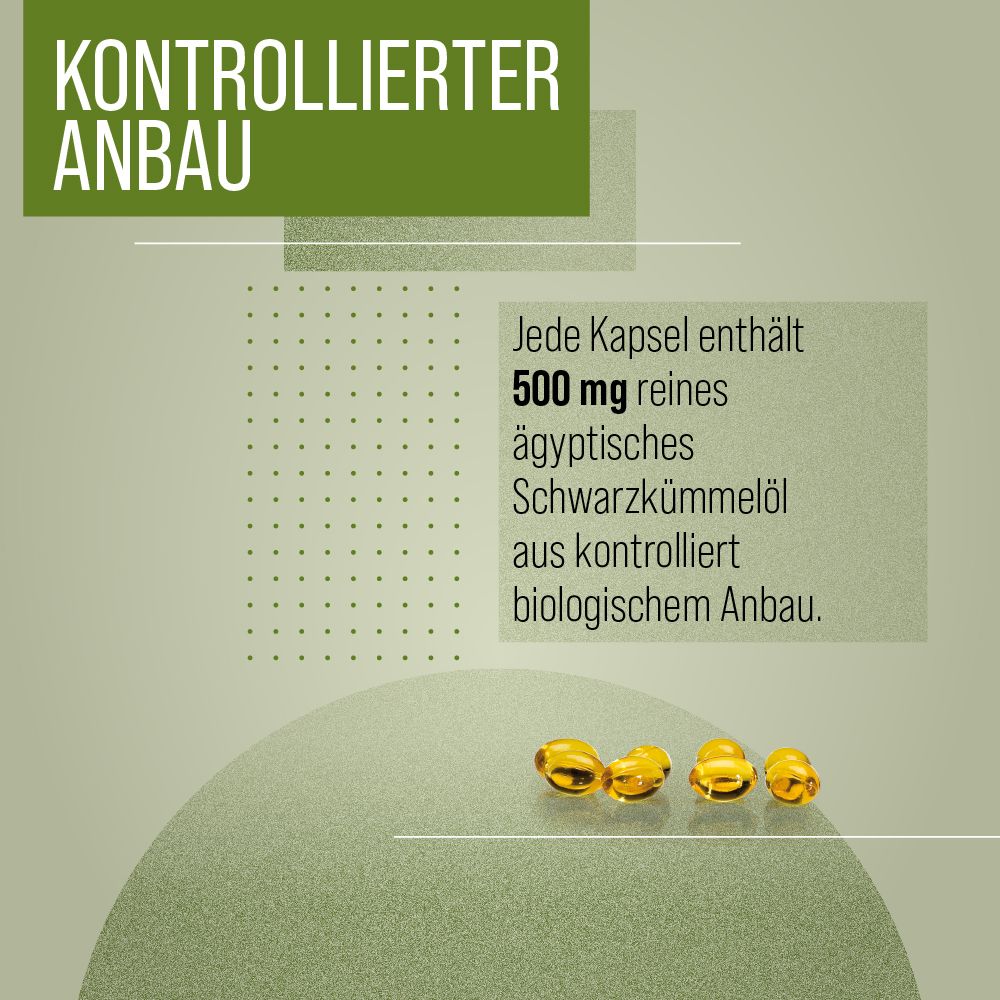 Gelbe Kapseln auf grünem Hintergrund. Text: Jede Kapsel enthält 500 mg reines ägyptisches Schwarzkümmelöl aus kontrolliert biologischem Anbau.