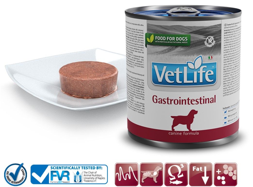 Hundefutterdose und Futter auf Teller. "VetLife Gastrointestinal" und Logo. Zertifizierungen unten. Futter in Scheiben.