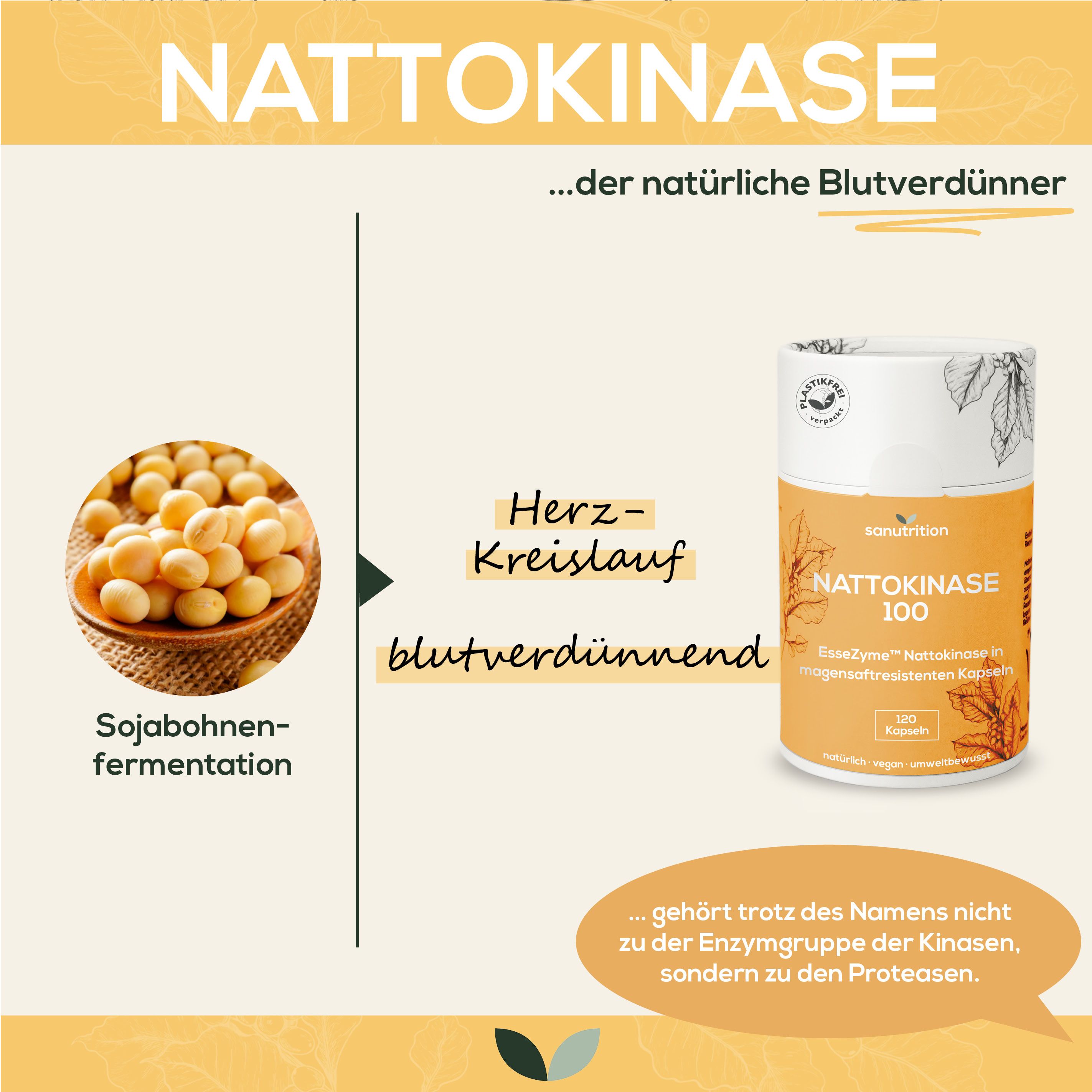 Sanutrition® - Nattokinase 100 mg 120 St Kapseln