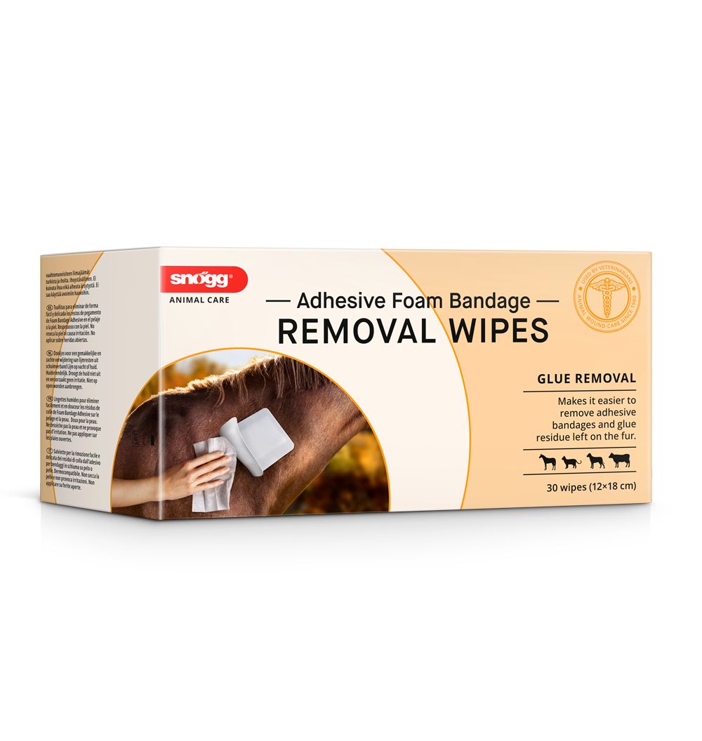 Box mit Snögg Removal Wipes. Aufschrift: Adhesive Foam Bandage - Removal Wipes. 30 Tücher (12x18 cm).