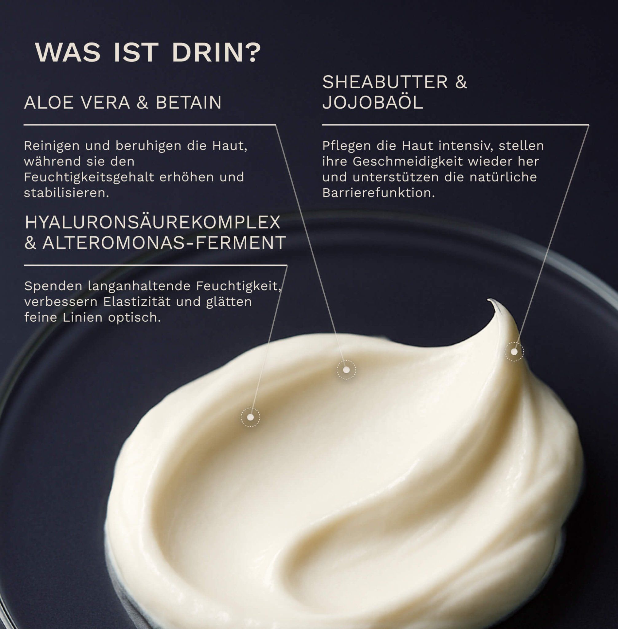 Nahaufnahme Creme. Text: Aloe Vera & Betain, Hyaluronsäure, Sheabutter & Jojobaöl, Hyaluronsäurekomplex.
