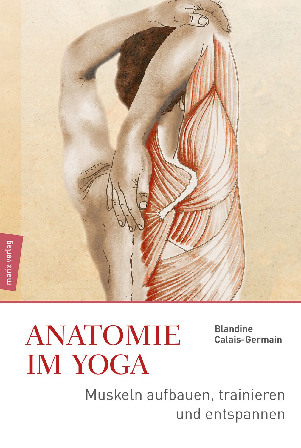 Buchcover: Anatomie im Yoga. Titel und Autor. Illustration eines menschlichen Körpers mit Muskeln. Verlag: marix verlag.