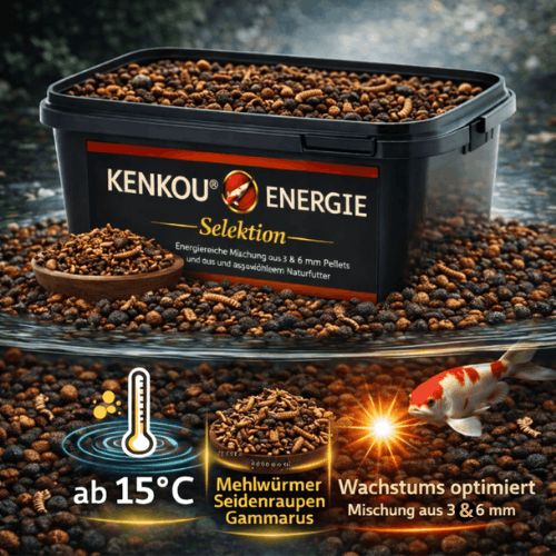 KENKOU -Selektion- ENERGIE