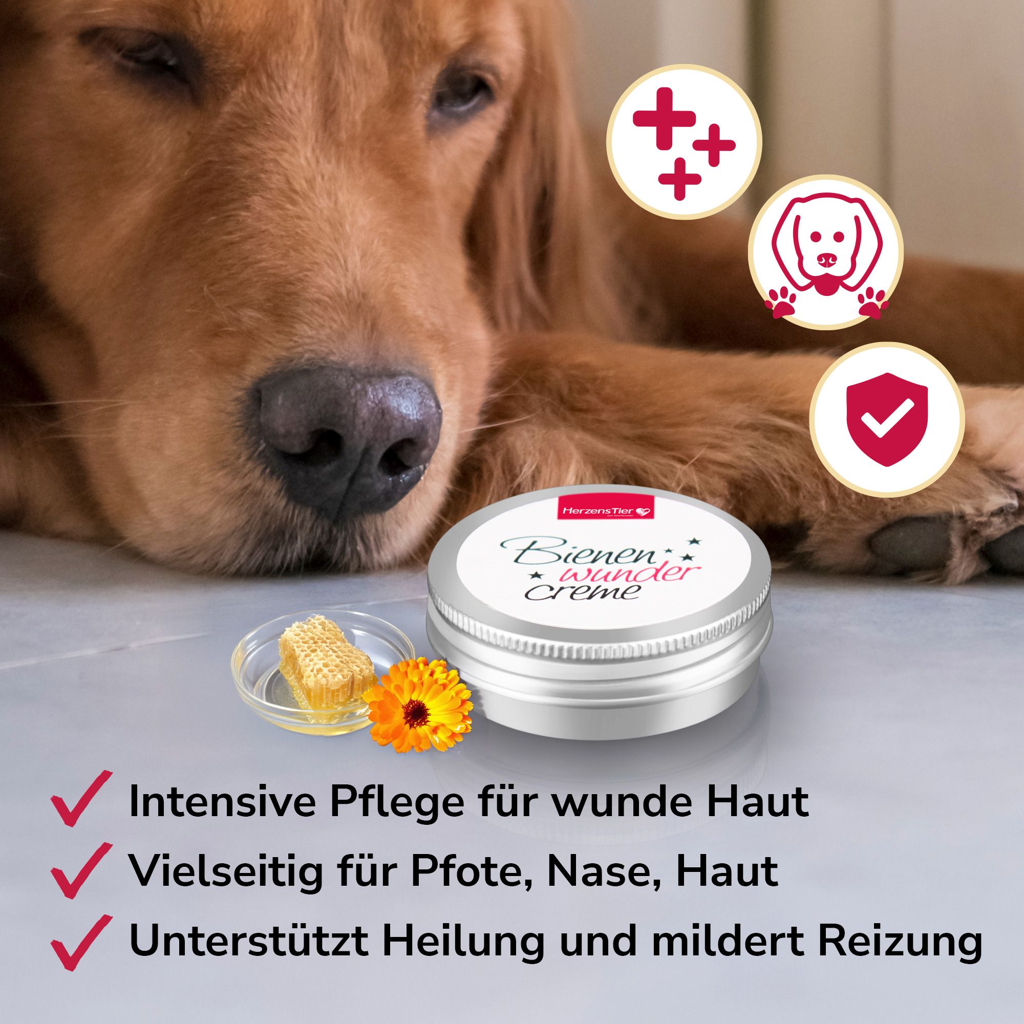 Kleine silberne Dose mit Bienensalbe, daneben ein Stück Wabe und eine Ringelblume. Ein Hund liegt im Hintergrund.
