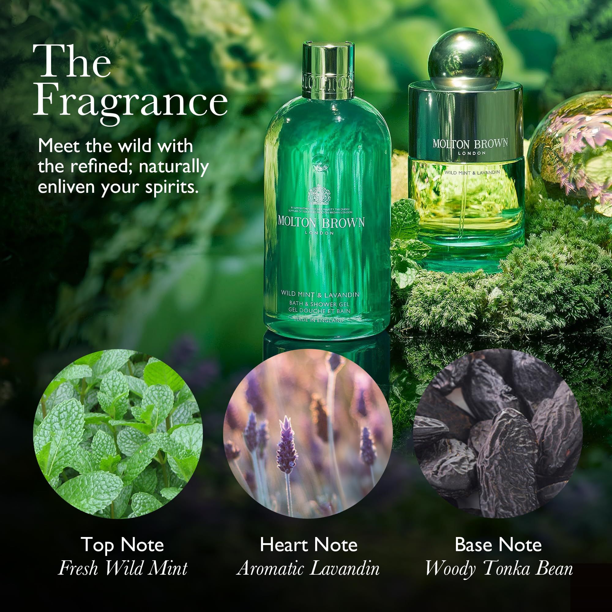 Molton Brown, Wild Mint & Lavandin Bade & Duschgel