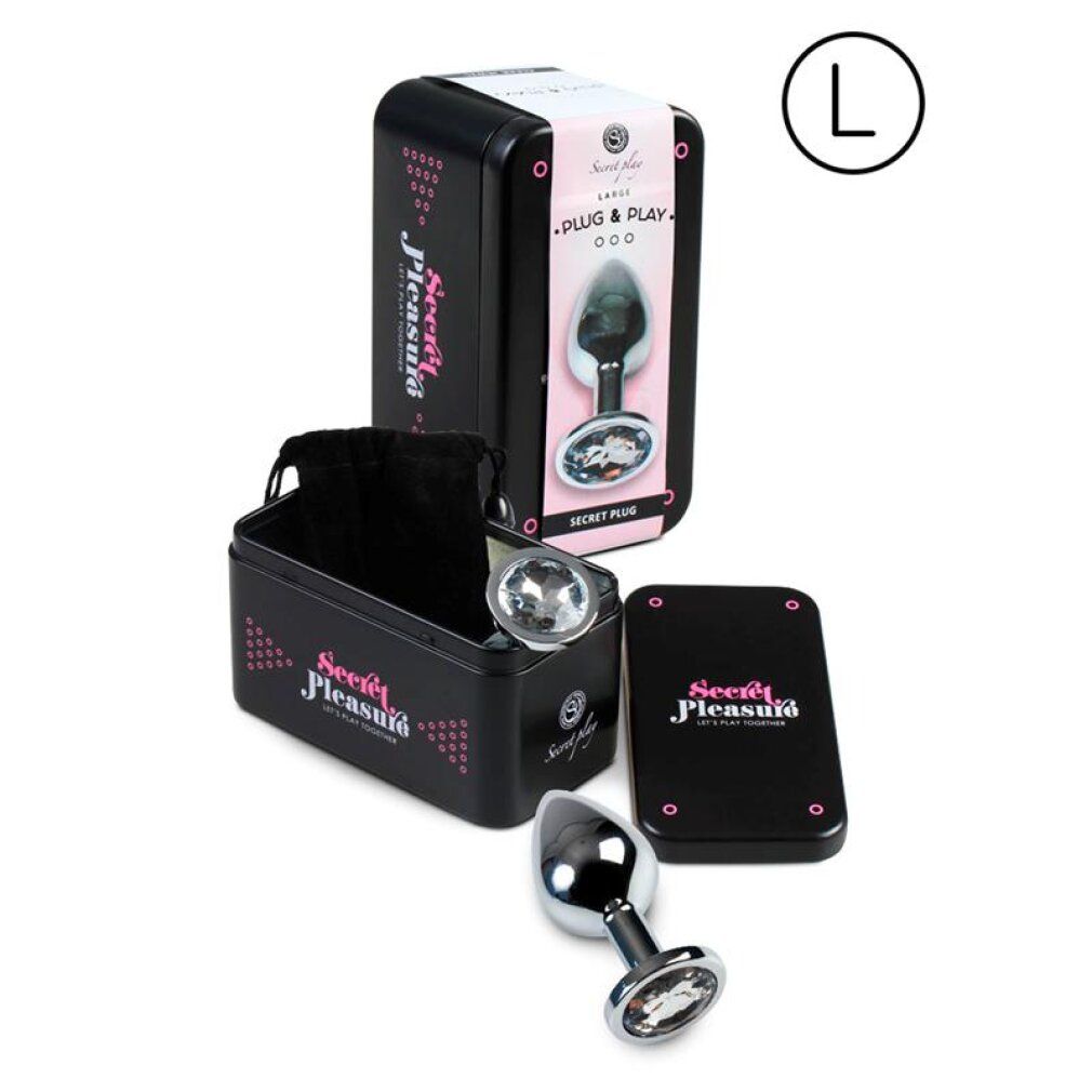Analplug-Set mit Metallplug, Aufbewahrungsbox und Beutel. Größe L.