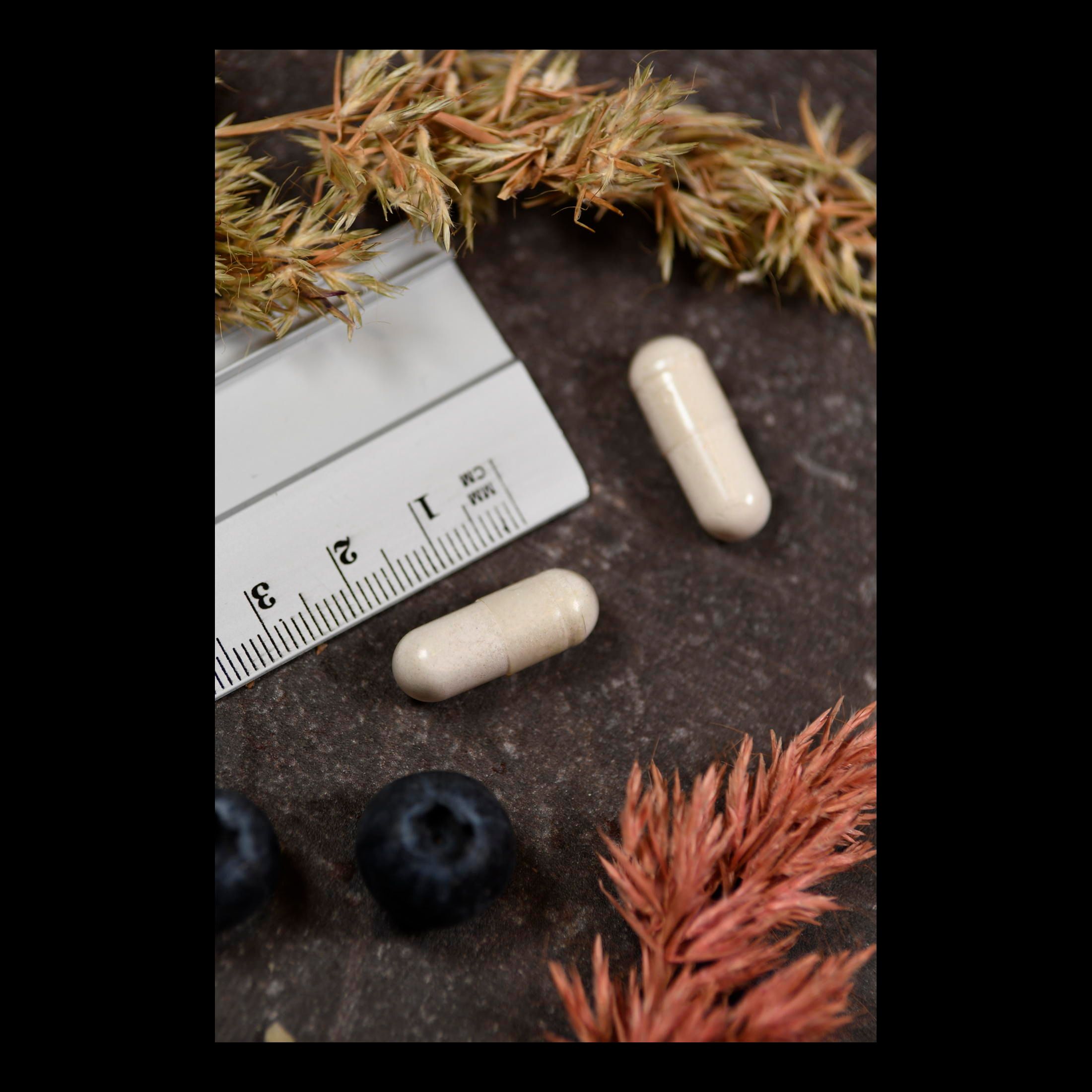 Solaray Multidophilus 12