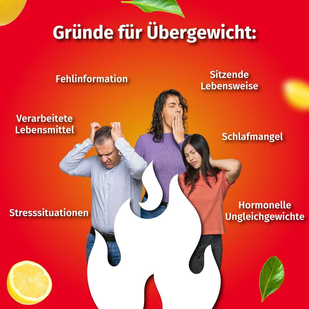 Gründe für Übergewicht. Menschen mit Stress, Schlafmangel, Hormonstörungen, etc. Flammen-Symbol.
