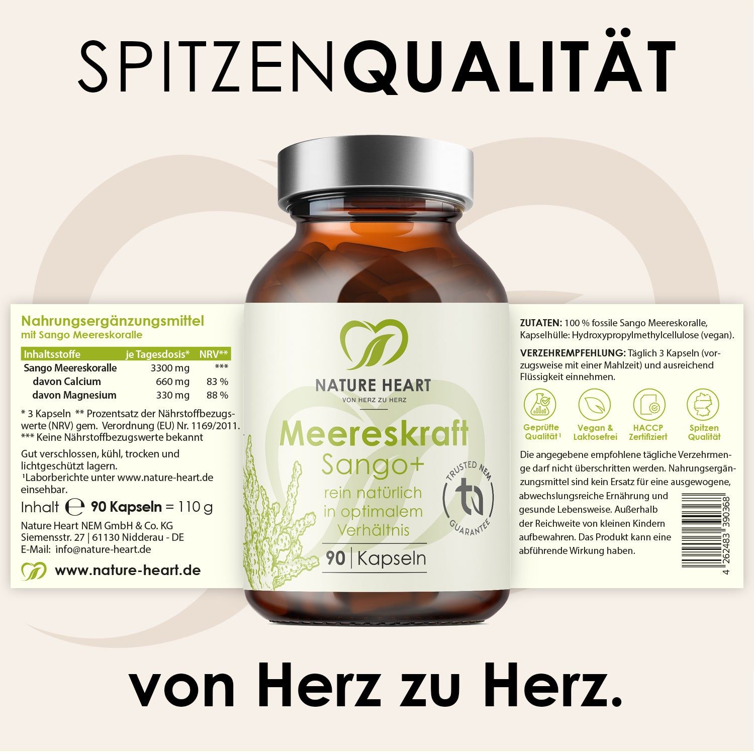 Etikett auf Meereskraft Sango+ Flasche. Text: Nahrungsergänzungsmittel mit Sango Meereskoralle. Inhaltsstoffe, Nährwertangaben, Zutaten, Warnhinweise.